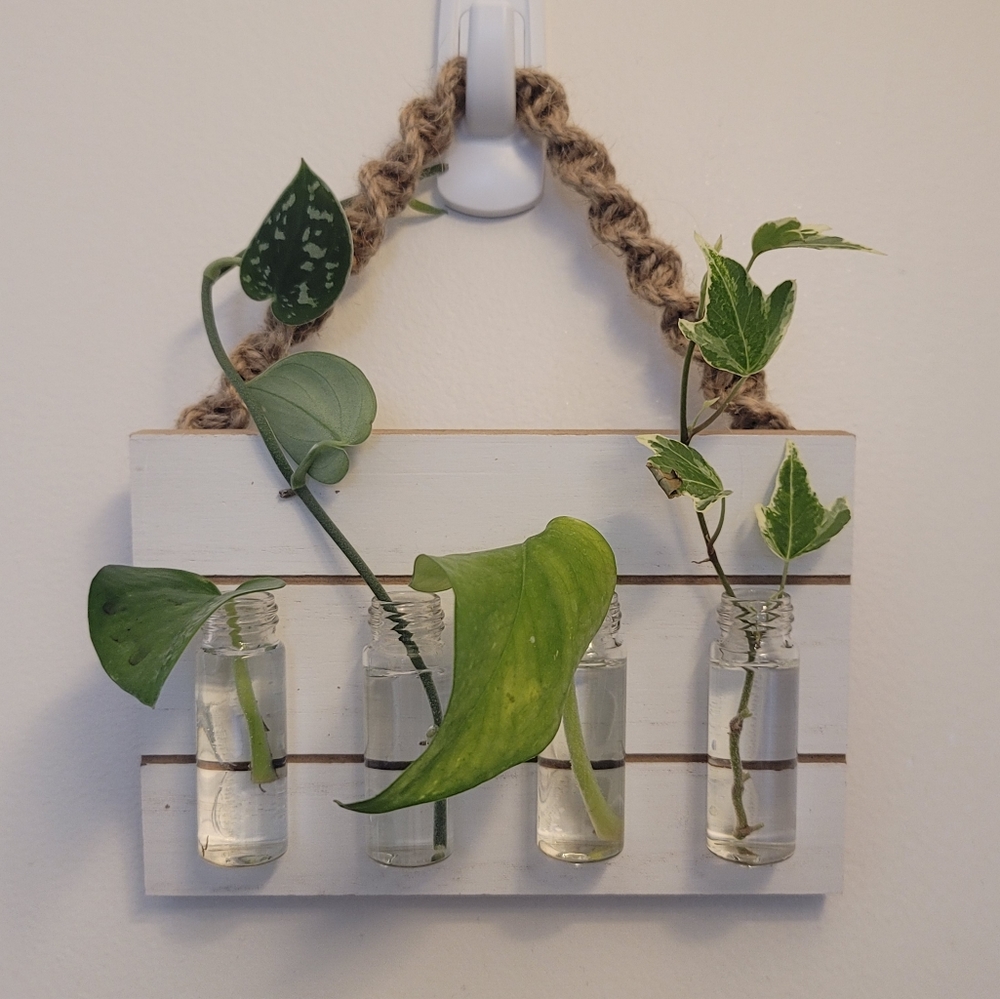 Plant hanger